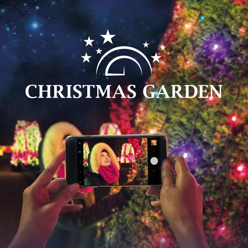 Plakate Werbebanner Christmas Garden Social Media